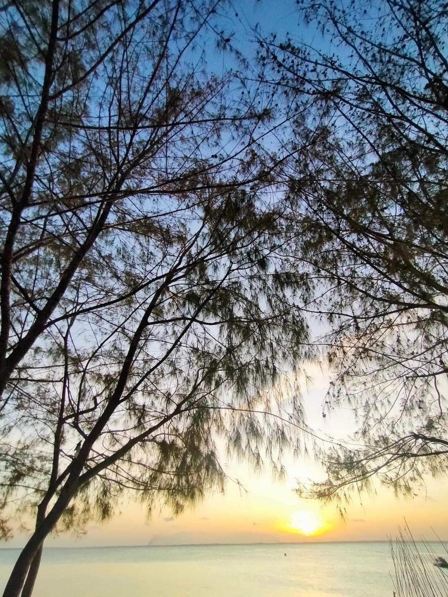 Eden Paradise Michamvi 外观 照片